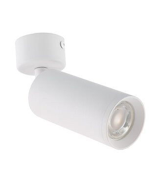 Opbouw Led Spot armatuur met GU10 Fitting met lange koker, witkleurige behuizing