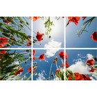 Fotoprint afbeelding Wolken en Roos 180x120cm voor 6x 60x60cm led paneel