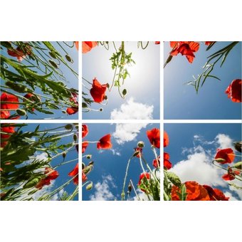 Fotodruckbild Wolken und Rose 180x120cm für 6x 60x60cm Led-Platte