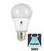 E27 5,5w Led Bollamp, 5000K, Dag/Nacht Sensor, 2 Jaar garantie