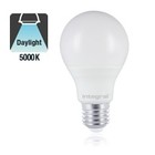 E27 6w Classic Globe, 500 Lumen, 5000K Daglicht Wit, 2 Jaar Garantie