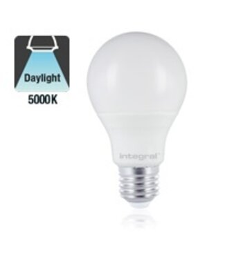 E27 6w Classic Globe, 500 Lumen, 5000K Daglicht Wit, 2 Jaar Garantie
