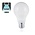 E27 6w Classic Globe, 500 Lumen, 5000K Daglicht Wit, 2 Jaar Garantie