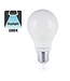 E27 6w Classic Globe, 500 Lumen, 5000K Daglicht Wit, 2 Jaar Garantie