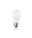 E27 11w Classic Globe, 1060 Lumen, 2700K Warm Wit, 2 Jaar Garantie
