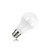 E27 11w Classic Globe, 1060 Lumen, 5000K Daglicht Wit, 2 Jaar Garantie