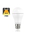 E27 13w Classic Globe, 1521 Lumen, 2700K Warmweiß, 2 Jahre Garantie