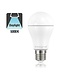 E27 13,5w Classic Globe, 1521 Lumen, 5000K Warmweiß, 2 Jahre Garantie