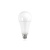 E27 18w Classic Globe, 2000 Lumen, 5000K Daglicht Wit, 2 Jaar Garantie