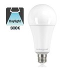 E27 18w Classic Globe, 2000 Lumen, 5000K Tageslichtweiß, 2 Jahre Garantie