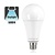 E27 18w Classic Globe, 2000 Lumen, 5000K Daglicht Wit, 2 Jaar Garantie