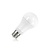 E27 15w Classic Globe, 1521 Lumen, 2700K Warm Wit, Dimbaar, 2 Jaar Garantie