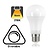 E27 15w Classic Globe, 1521 Lumen, 2700K Warm Wit, Dimbaar, 2 Jaar Garantie