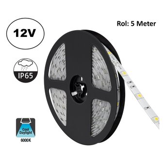 Led Strip ROL 5 Meter 5050SMD, 4,8w/m, 30 led/m, 400Lm/m, 6000K Tageslichtweiß, 12v, IP65, 10mm, 2 Jahre Garantie