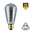 E27 Led Lampe 6,5w Edison, ST64, 2300K Flamme, 325 Lumen, dimmbar, Rauchglas, 2 Jahre Garantie