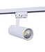 1-Phasen-Schienenstrahler 10 W, 820 Lumen, CCT-Schalter (3000 K/4000 K/6000 K), CRI90, inkl. UGR-Filter, weißes Gehäuse, 3 Jahre Garantie