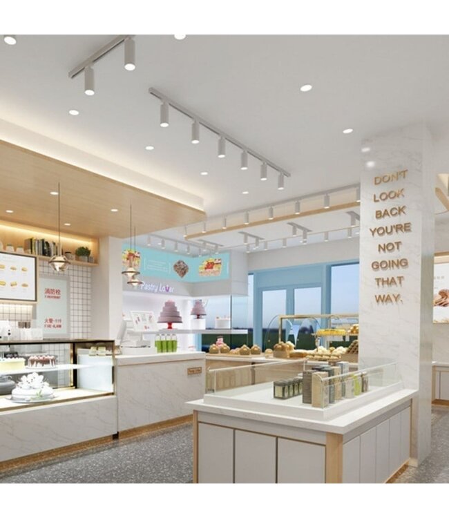 1 Fase Rail Spot 10w, 800 Lumen, CCT-Switch (2700K/3000K/4000K), CRI90, UGR19, Dimbaar, Witkleurige behuizing, 3 Jaar Garantie