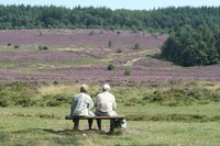 3-daags arrangement Verrassend Veluwe