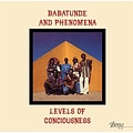 Pure Pleasure BABATUNDE & PHENOMENA - LEVELS OF CONSCIOUSNESS