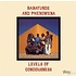 Pure Pleasure BABATUNDE & PHENOMENA - LEVELS OF CONSCIOUSNESS