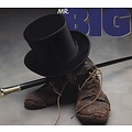 Mr. Big - Mr. Big