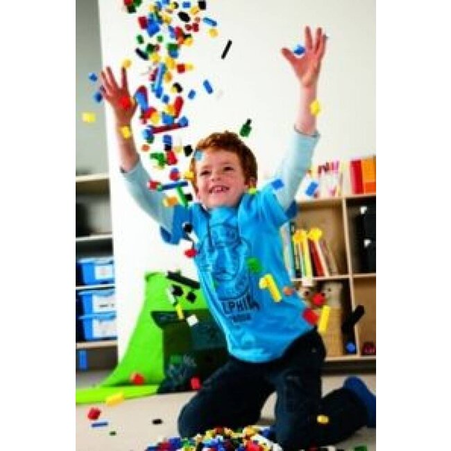 LEGO Kleine Bouwplaten set