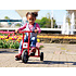 Kleine driewieler - mini driewieler dreumes & kind van 1 tot 4 jaar