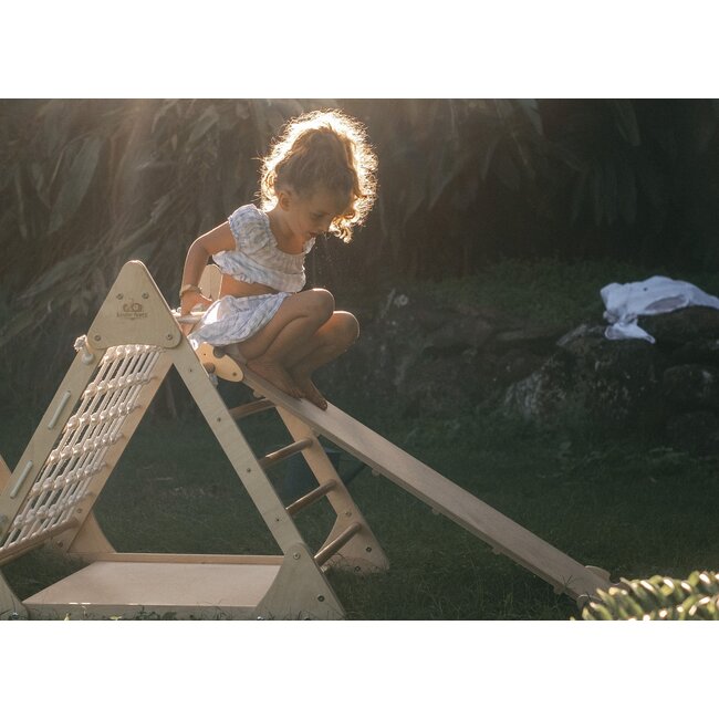Pikler Wooden Indoor jungle gym set triangle and slide