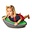 Gonge Air Board