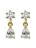 Adamarina Gold Circonia Earrings