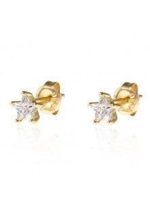 Adamarina Flower Circonia Earrings Gold