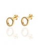 Adamarina Gold Circonia Earrings