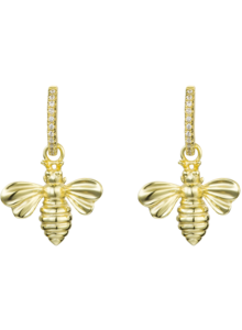 Hoops Bees and Zirconia