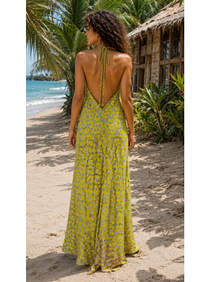 Saree dress