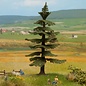 NOCH Noch 21819 Nordic fir tree 12 cm high