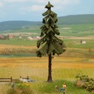 NOCH Noch 21924 Spar hoge stam 14,5 cm hoog