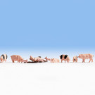 NOCH Noch 15712 Varkens (Schaal H0), 12 figuren