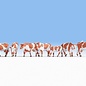 NOCH Noch 15726 Cows, brown-and-white (Gauge H0), 7 figures