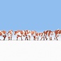 NOCH Noch 15726 Koeien, bruin-wit (Schaal H0), 7 figuren