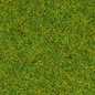 NOCH Noch 08300 Strooigras "Voorjaarsweide", 2,5 mm, 20  g