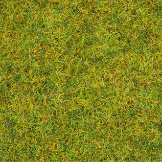 NOCH Noch 08310 Scatter Grass “Summer Meadow”, 2,5 mm, 20 g