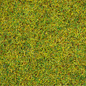 NOCH Noch 08310 Scatter Grass “Summer Meadow”, 2,5 mm, 20 g