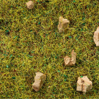 NOCH Noch 08360 Scatter Grass “Alpine meadow”, 2,5 mm, 20 g