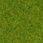 NOCH Noch 50210 Scatter Grass “Spring Meadow”, 2,5 mm, 100 g