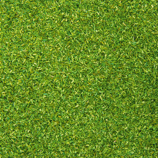 NOCH Noch 08410 Streumaterial hellgrün, 42 g