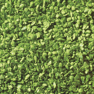 NOCH Noch 07142 Leaves, light green, 50 g