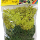 NOCH Noch 08610 Decoratiemos, licht- en donkergroen, 35 g