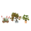 NOCH Noch 14020 Ornamental Plants 3x (Gauge H0)
