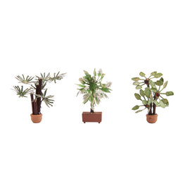 NOCH Noch 14023 Mediterranean Plants 3x (Gauge H0)