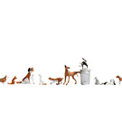 NOCH Noch 15715 Hunde und Katzen (Spur H0), 10 Figuren